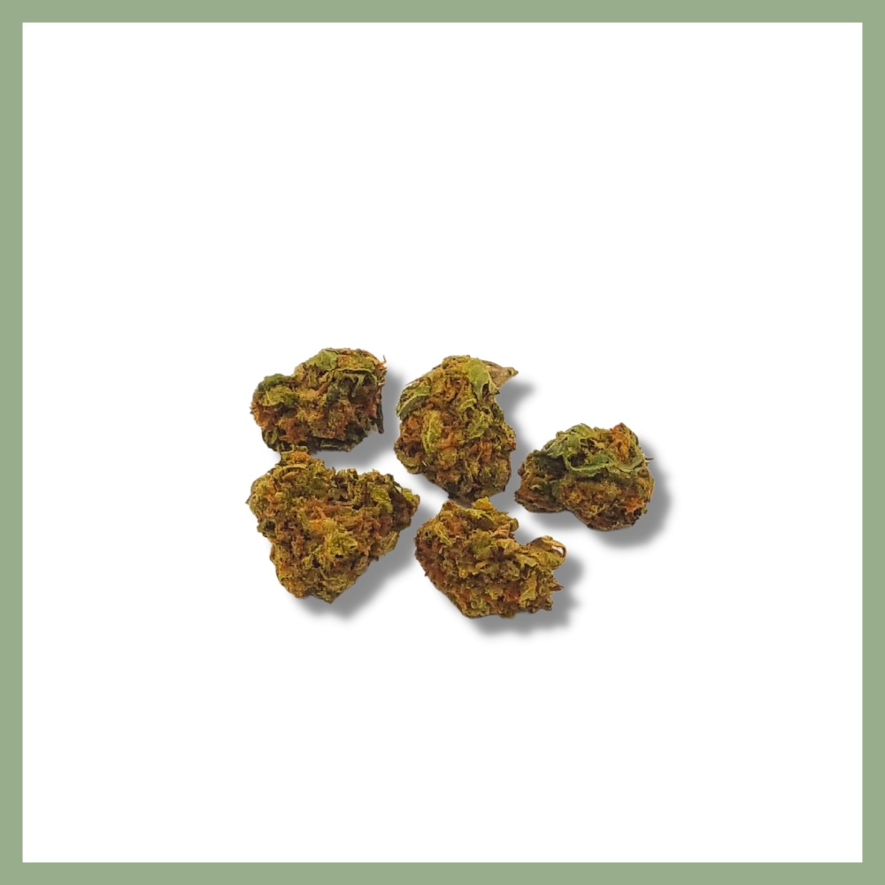 harlequin indoor, harlequin cbd, fleur de cbd, fleur de chanvre bio, small bud, baby bud