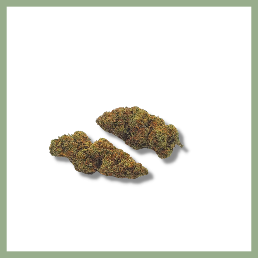 orange bud cbd, orangello cbd, fleur de cbd, fleur de chanvre bio , indoor cbd, orange bud indoor