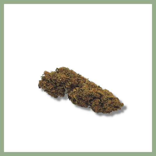 jack herer cbd, greenhouse, fleur de cbd, fleur de chanvre bio